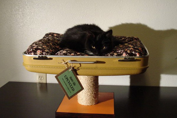 recycled-suitcase-ideas-pets-bed8 (600x400, 59Kb)