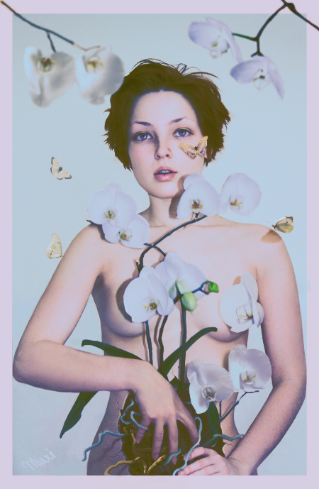 Orchid_by_kidy_kat (450x689, 143Kb)