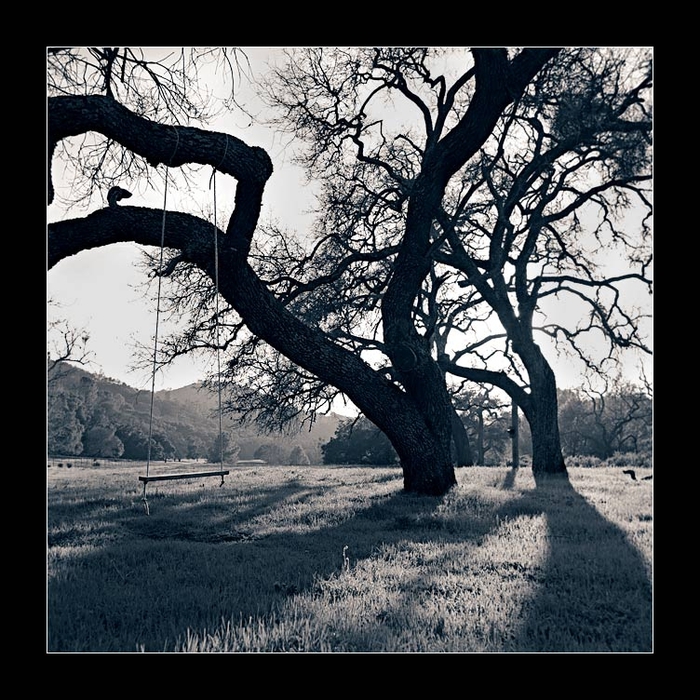 Tree_Swing (700x700, 362Kb)