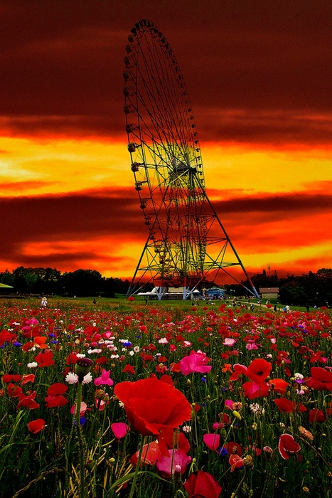 tumblr_mnb9a41OzB1qb30dwo1_500 (467x700, 320Kb)
