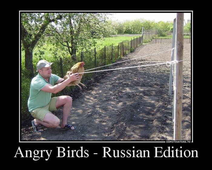 http://img1.liveinternet.ru/images/attach/c/8/101/976/101976895_large_54852140_angrybirdsrussianedition.jpg