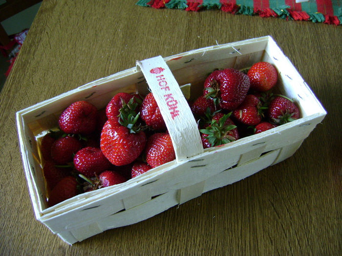 DSC02463 (700x525, 179Kb)