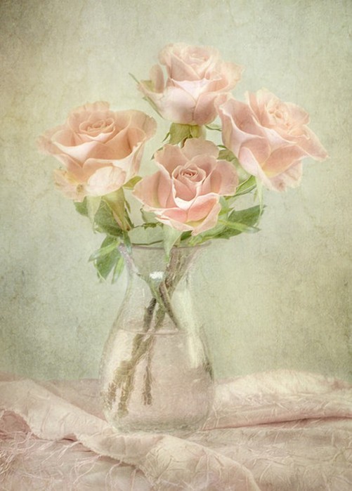 MandyDisher26 (501x700, 72Kb)