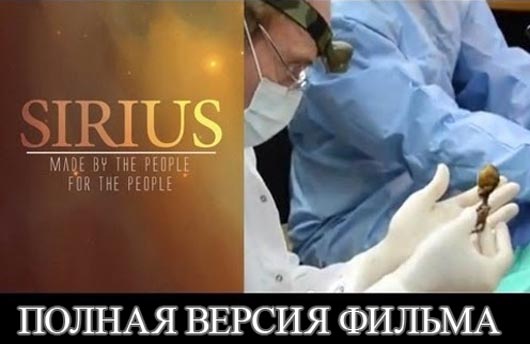 Sirius-documentary (530x344, 49Kb)