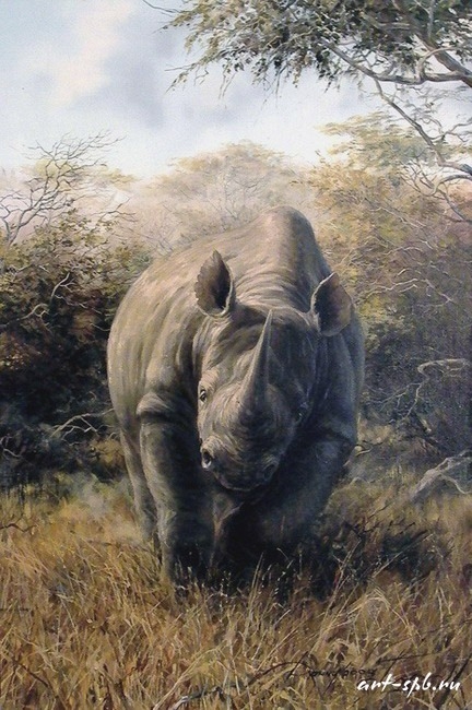 Атака носорога (432x650, 240Kb)