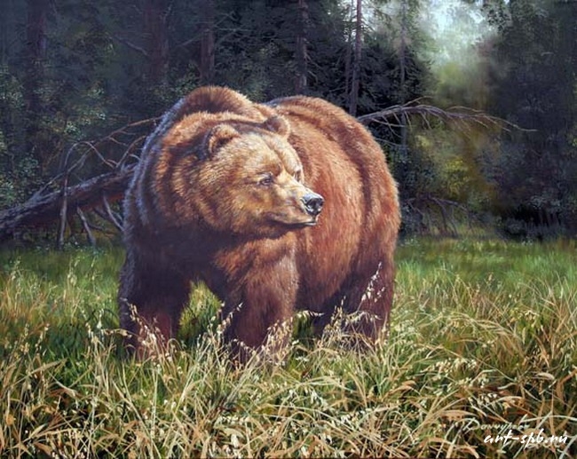 Медведь на овсах (650x517, 266Kb)