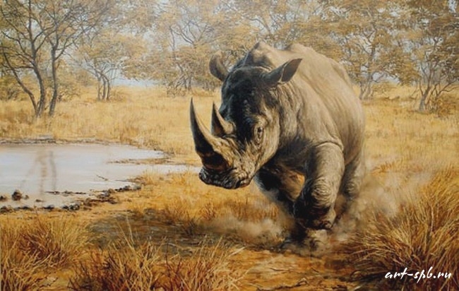 Носорог (650x412, 198Kb)