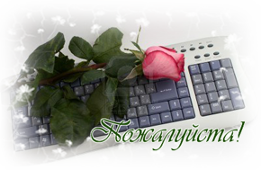 2330249-the-red-rose-lays-on-the-computer-keyboard (290x189, 101Kb)