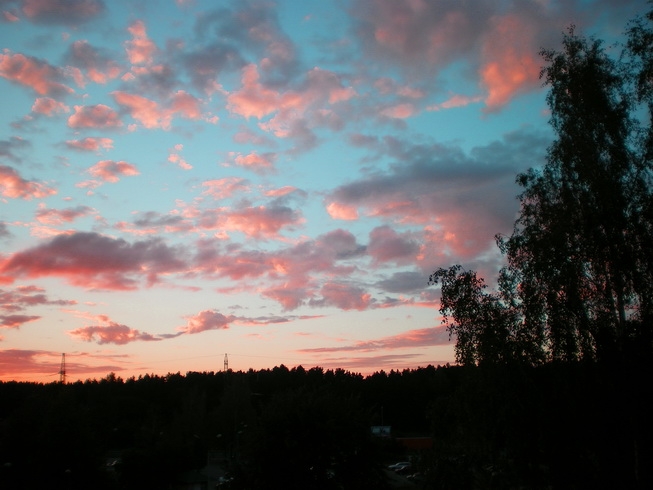 1 (653x490, 189Kb)