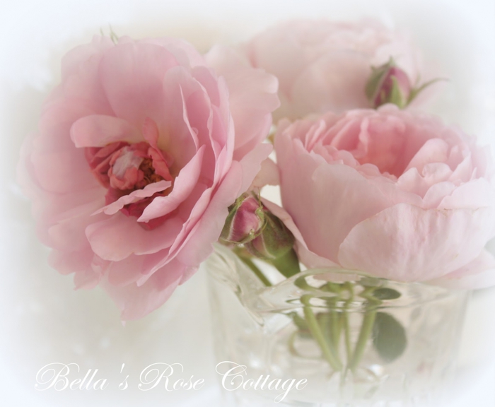 3166706_small_rose_bouquets_11 (700x576, 166Kb)