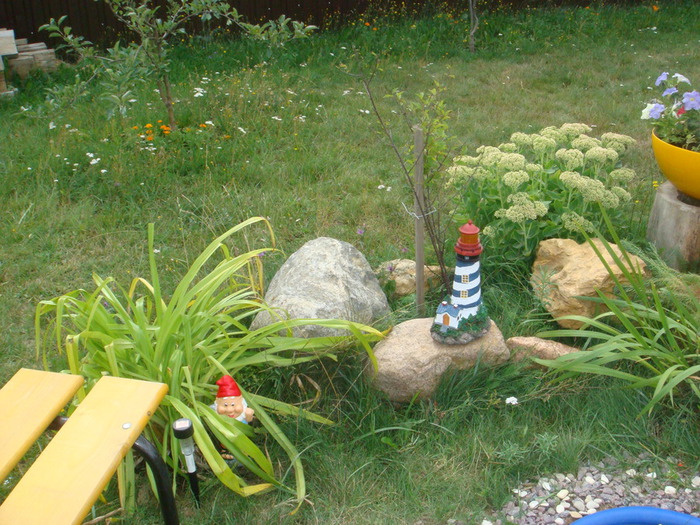 DSC01985 (700x525, 179Kb)