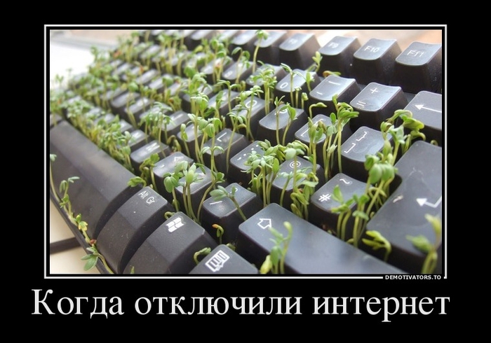 Интернет отключили картинка