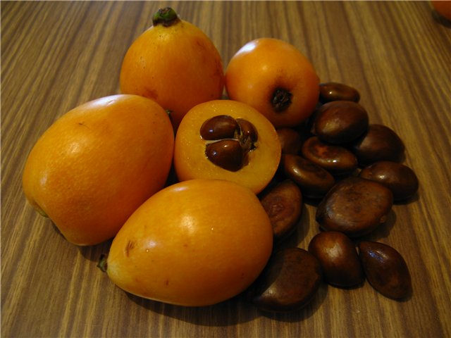 musmula2 (640x480, 49Kb)
