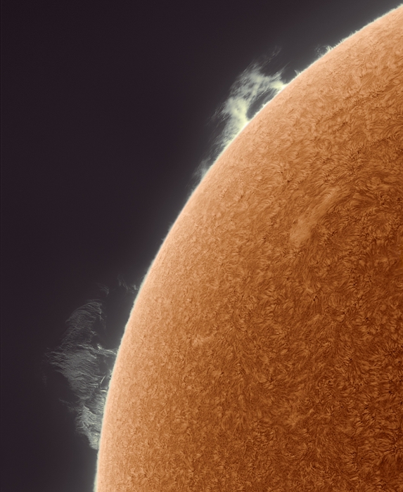 sun_symphony (573x700, 257Kb)