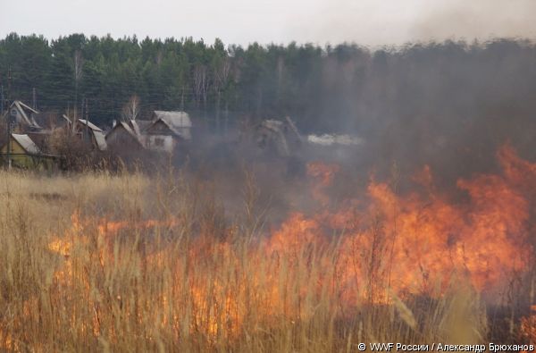 01-pojar-i-naselennyi-punkt-a-bryhanov-2011.big_ (600x395, 34Kb)