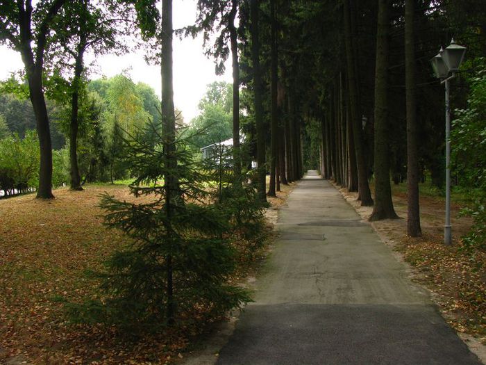 park-footpath (700x525, 84Kb)