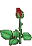 rose (45x65, 6Kb)
