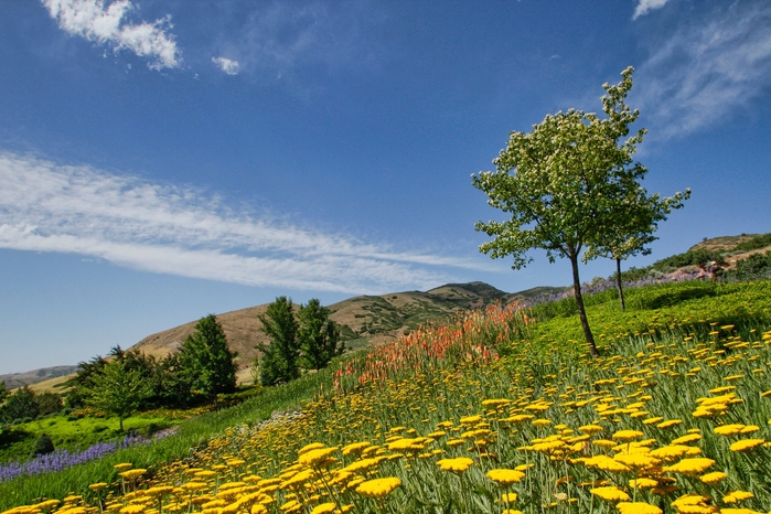 525846_red-butte-garden_salt-lake_2048x1365_(www.oboifon.ru) (700x466, 312Kb)