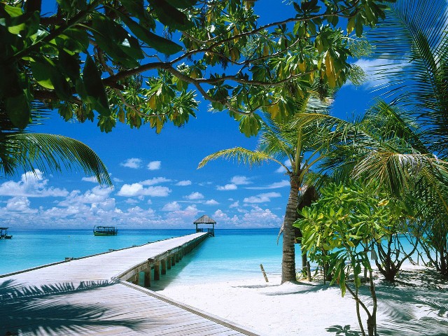 8.-Maldives (640x480, 151Kb)