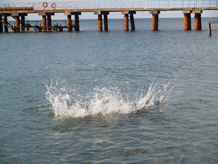 3168279_P6295168 (700x525, 115Kb)