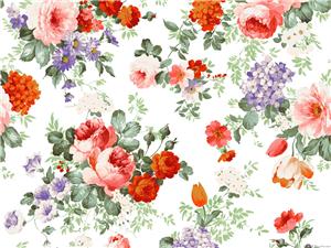 519437e7f2a8t (300x225, 22Kb)