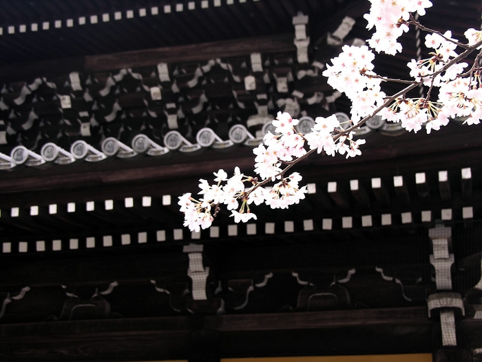 The Nanzen-ji (700x525, 228Kb)