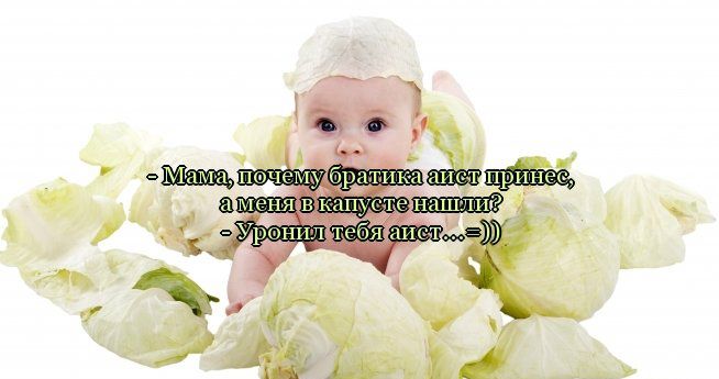 http://img1.liveinternet.ru/images/attach/c/8/102/700/102700225_9f1e43b69a31a0aa7bc7bbeb3e44e932.jpg