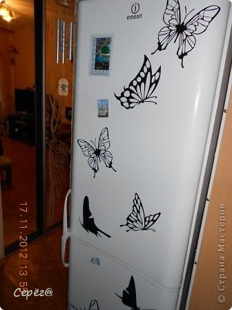 4879305_dscn0797 (336x448, 27Kb)
