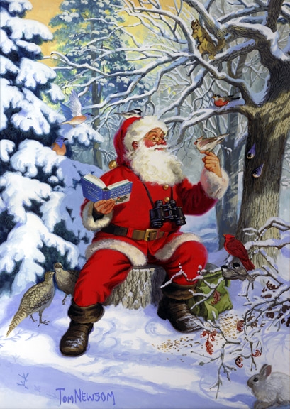 Birdwatching-Santa (409x576, 228Kb)