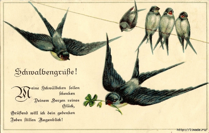 Vintage-Bird-Image-Swallows-Line-GraphicsFairy5-1024x654 (700x447, 257Kb)