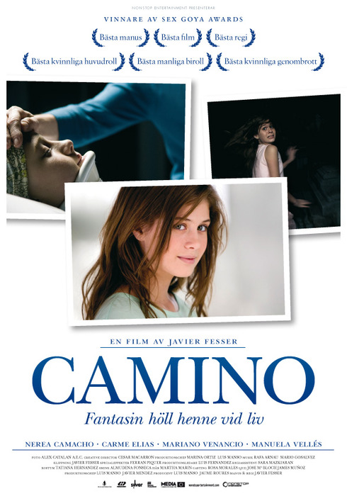 Camino (490x700, 104Kb)