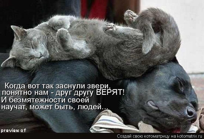 0_64dae_4e753aa7_XL (700x478, 213Kb)