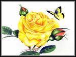  yellow_rose (700x525, 306Kb)