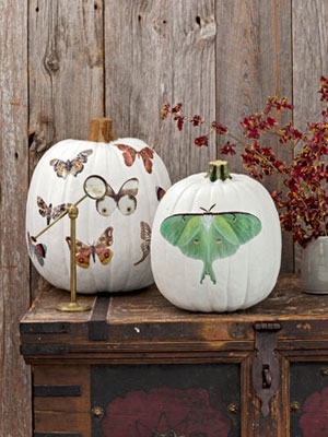 halloween-pumpkins-moth-decals-1012-NKcT0l-mdn (300x400, 92Kb)