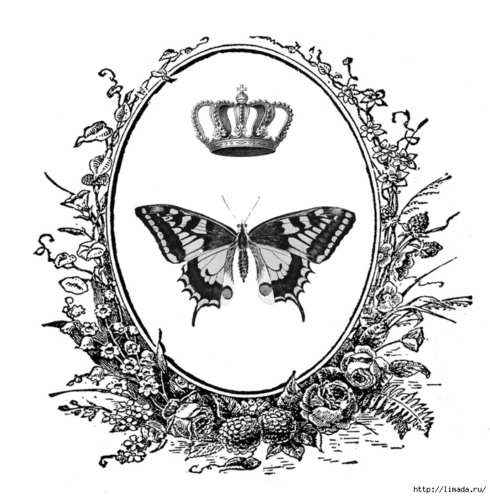 241-ButterflyCrest (689x700, 264Kb)