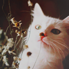 1378410154_gggtw (100x100, 19Kb)