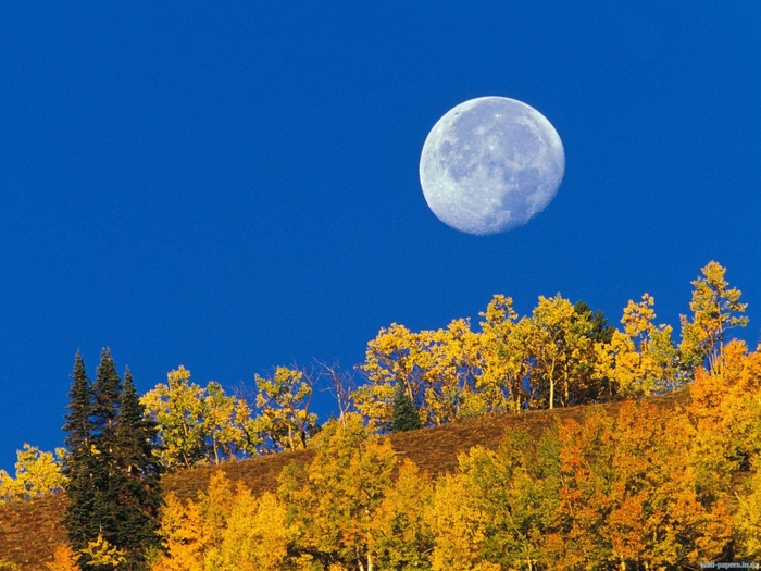 Moon Setting at First Light, Crested Butte, Colorado (700x525, 312Kb)