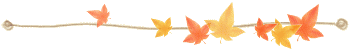 62864114_692872ophsrirm7c (350x50, 3Kb)