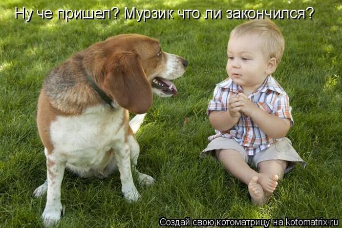 http://img1.liveinternet.ru/images/attach/c/8/104/790/104790301_5355770_kotomatrix_47.jpg