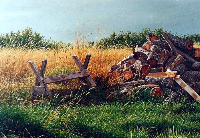 autumn_woodpile_acrylic_12x16__1992__nvhg (700x484, 542Kb)