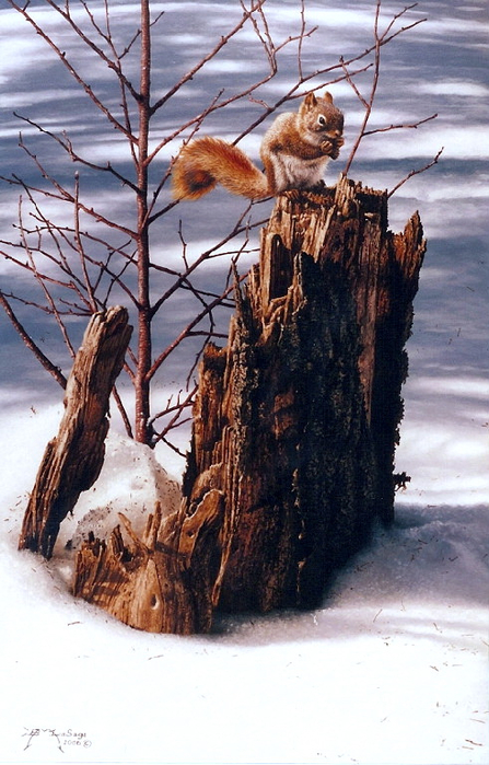 red_squirrel_and_stump_acrylic_22x14__2006___512x800_ (447x700, 380Kb)