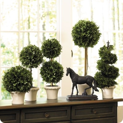 ballard-designs-boxwood-topiaries (400x400, 101Kb)