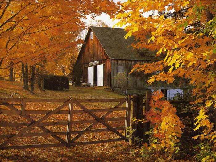 autumn_016 (700x525, 180Kb)