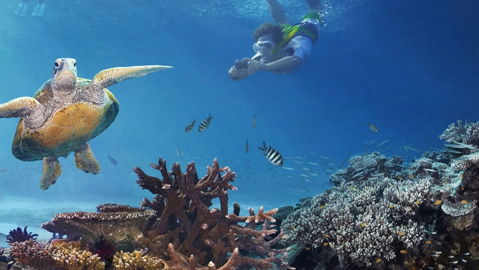explore-icons-great-barrier-reef (700x393, 233Kb)