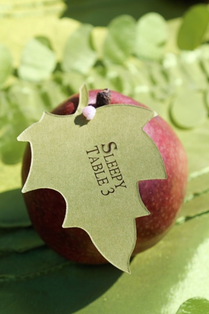 apple-place-cards-cathy-lee-photography (300x450, 92Kb)