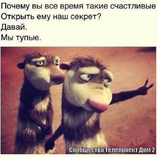 lol1379018727 (612x612, 212Kb)