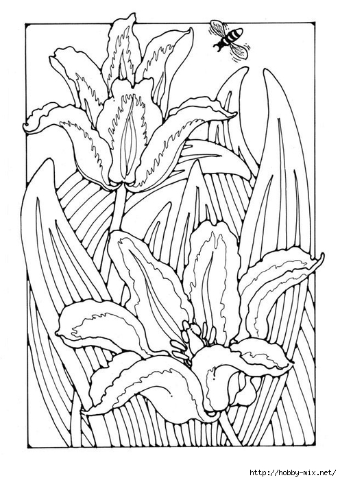tulips-27778 (496x700, 236Kb)