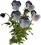 0_53fce_92ef6f7b_S.jpg (135x150, 34Kb)