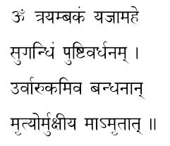 mahaamritam-mantra (241x207, 8Kb)