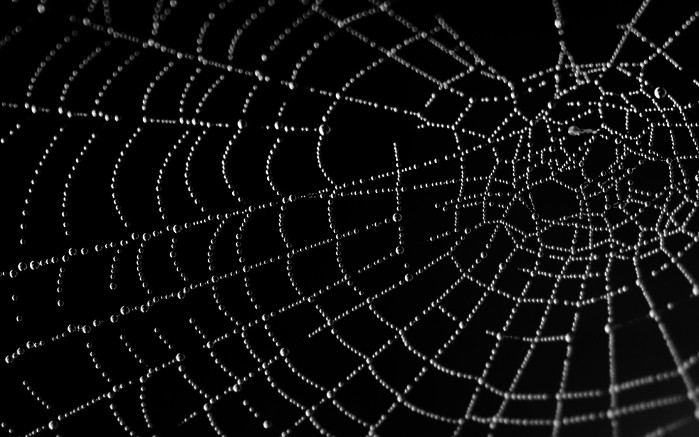 cobwebs_13 (700x437, 103Kb)